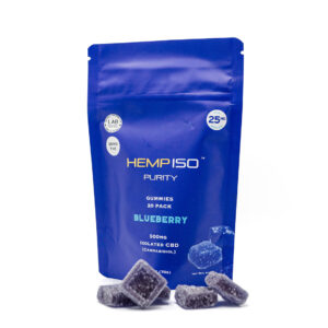 500mg Blueberry CBD (Cannabidiol) Vegan Gummies [20 ct]